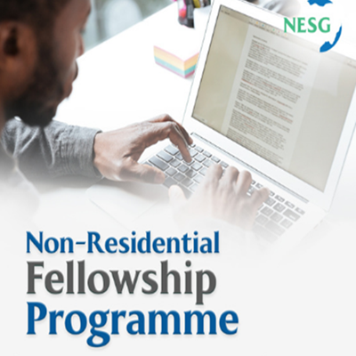 NESG Holds Closing Ceremony for First Cohort of Non-Residential Fellows